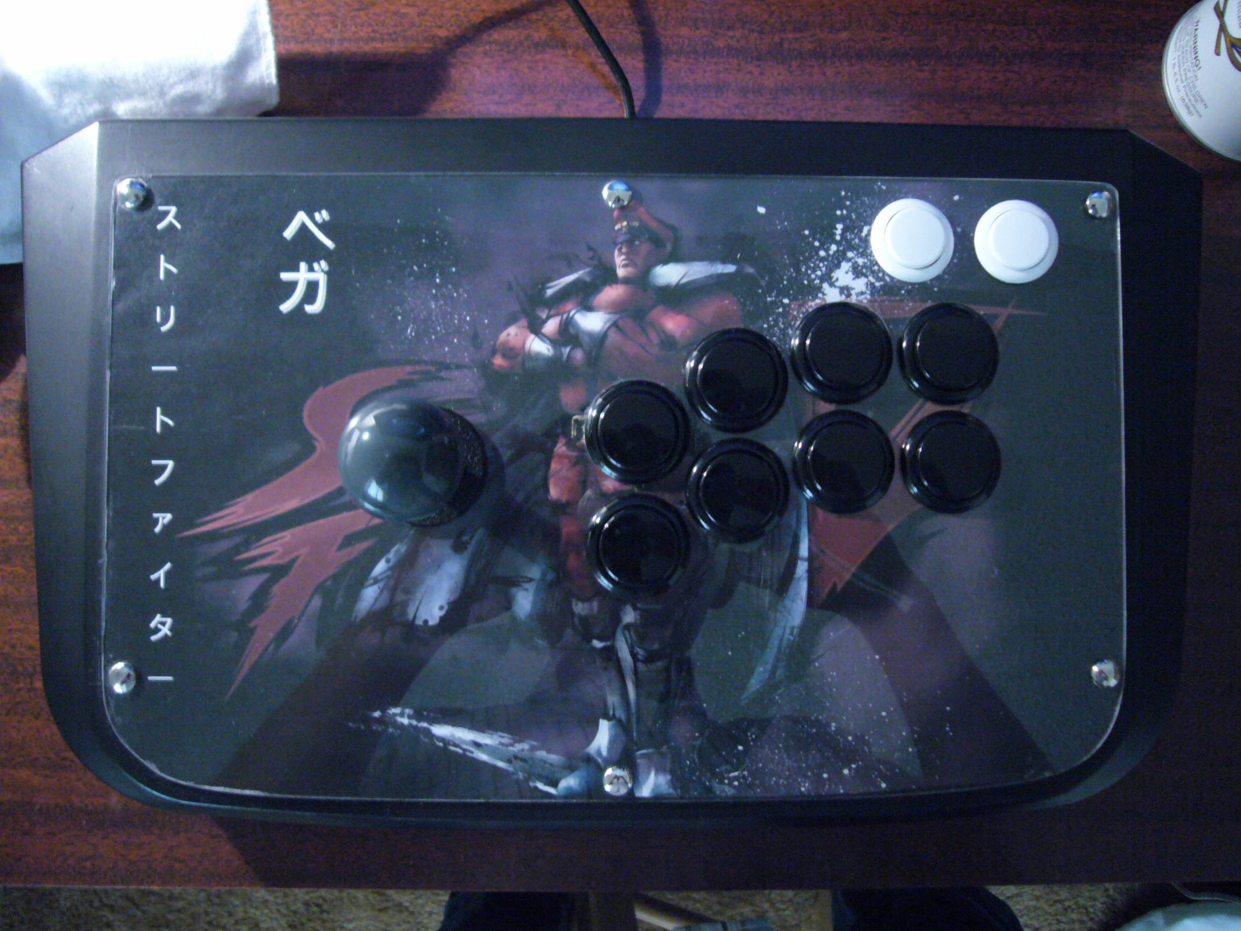 bison1