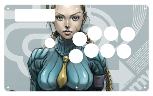 cammystick